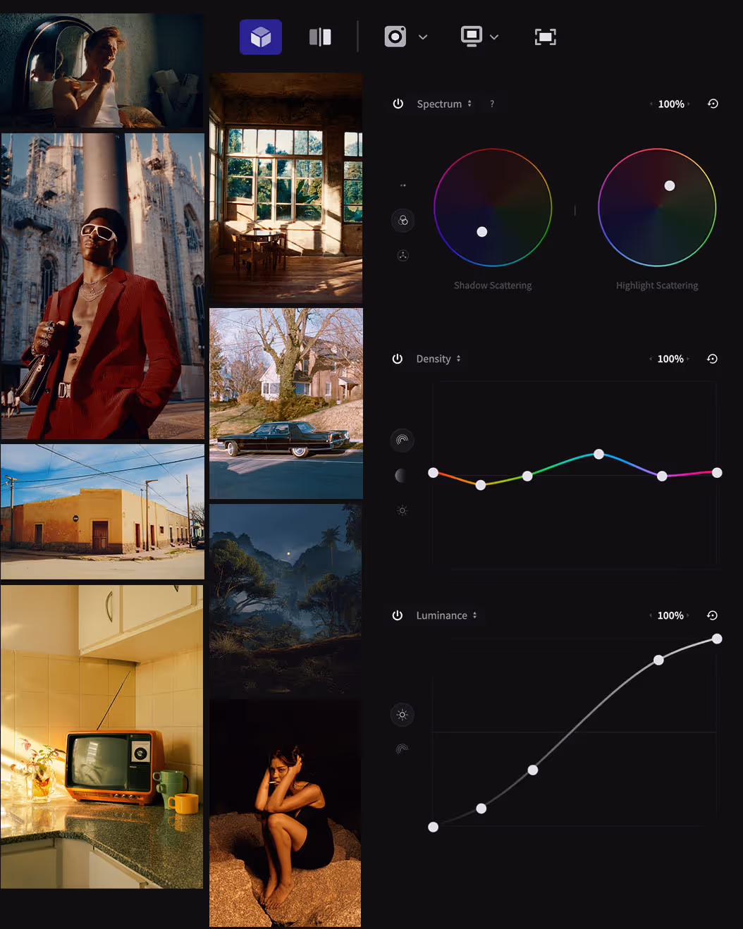 VSCO Pro for desktop alternative - color grading interface with batch export and advanced tools like film halation and grain