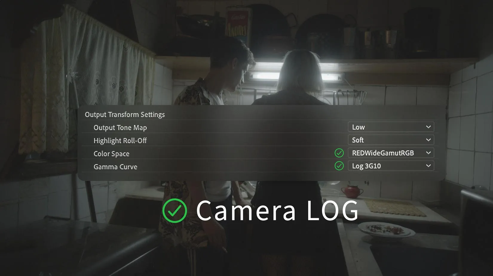 RAW LOG color grading in Adobe Premiere with Color.io and LUT based color management