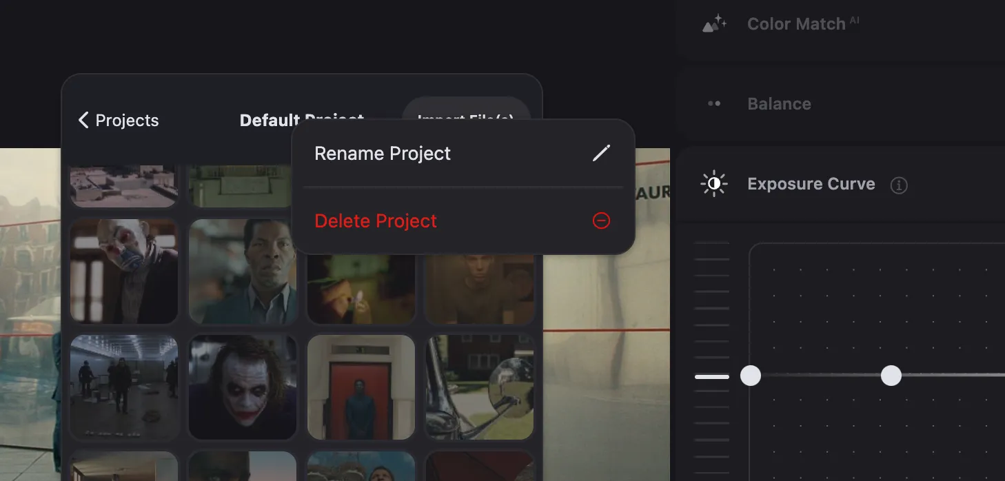 Rename or delete project in color.io